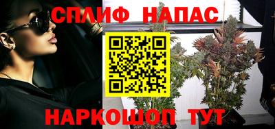 apvp Беслан