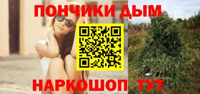 дурь Бийск