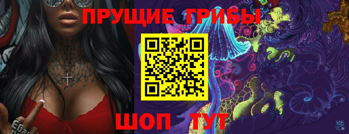 Киселёвск  Псилоцибиновые грибы Cubensis  Галлюциногенные грибы мицелий  Вход с VPN 