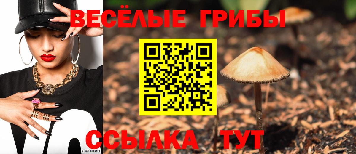Псилоцибиновые грибы Magic Shrooms Киселёвск